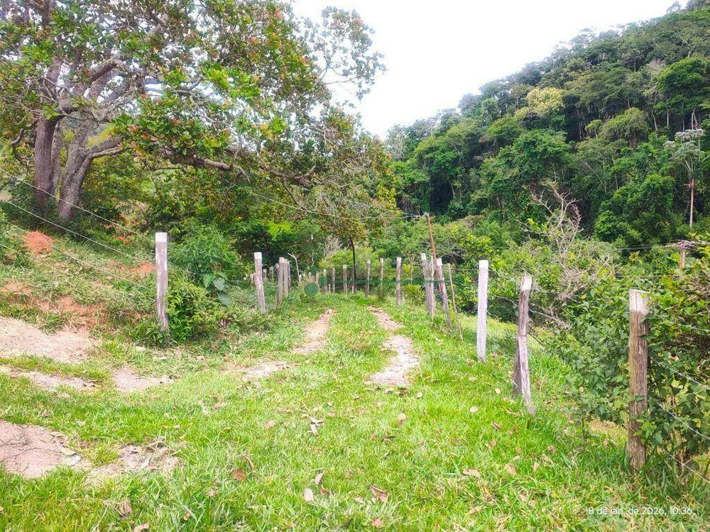 Terreno, 20 hectares - Foto 14