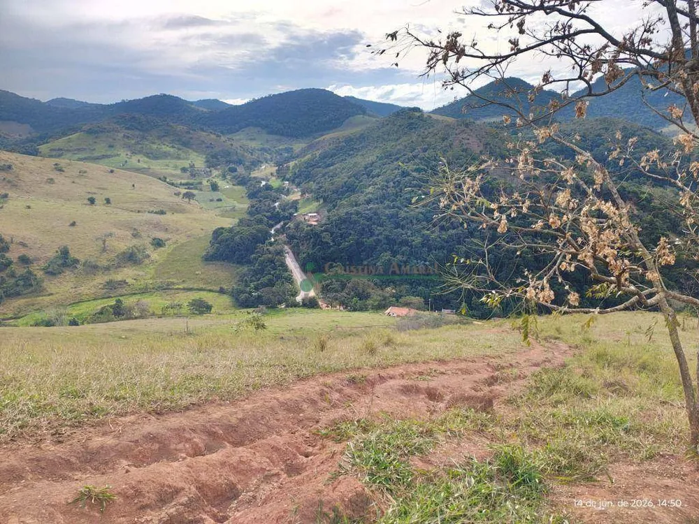 Terreno, 20 hectares - Foto 2