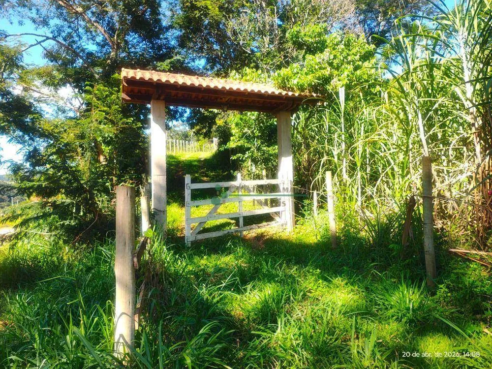 Terreno, 20 hectares - Foto 10