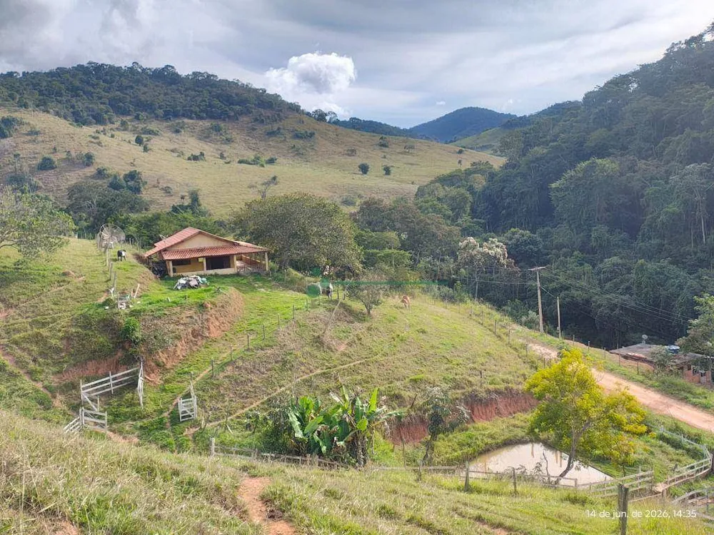 Terreno, 20 hectares - Foto 7