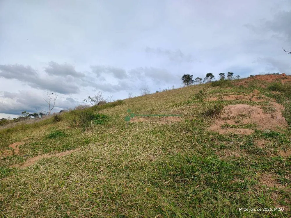 Terreno, 20 hectares - Foto 3