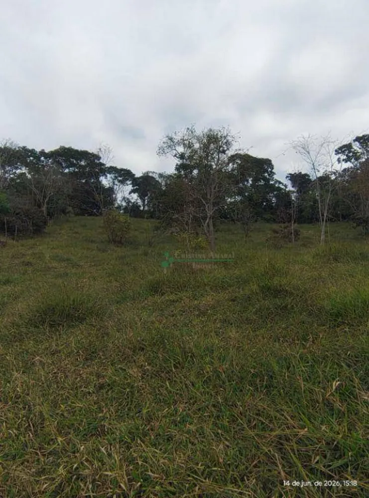 Terreno, 20 hectares - Foto 4