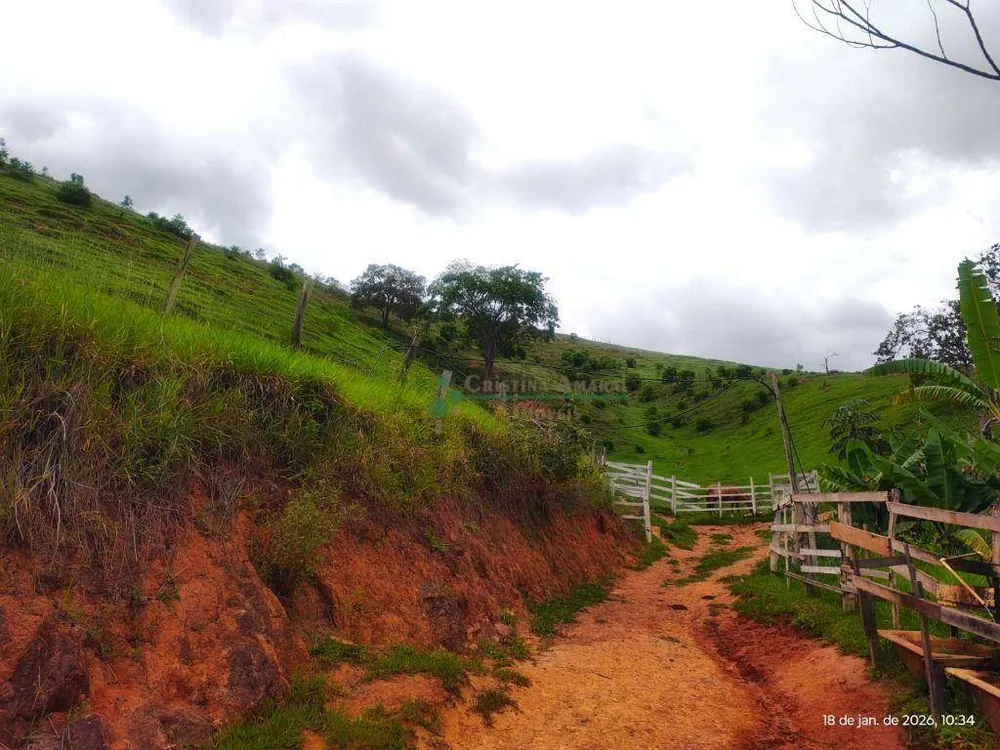 Terreno, 20 hectares - Foto 21