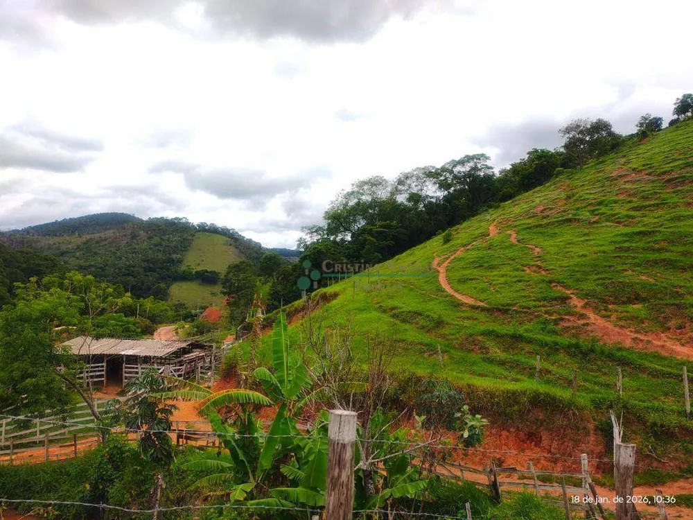 Terreno, 20 hectares - Foto 17