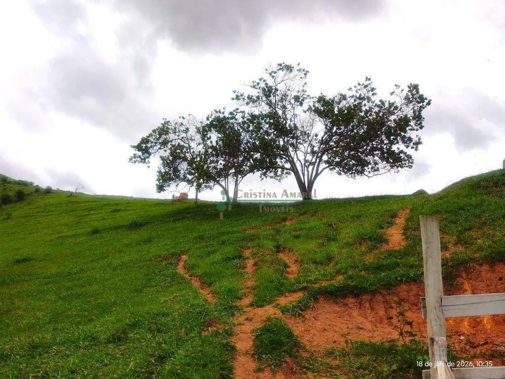 Terreno, 20 hectares - Foto 18
