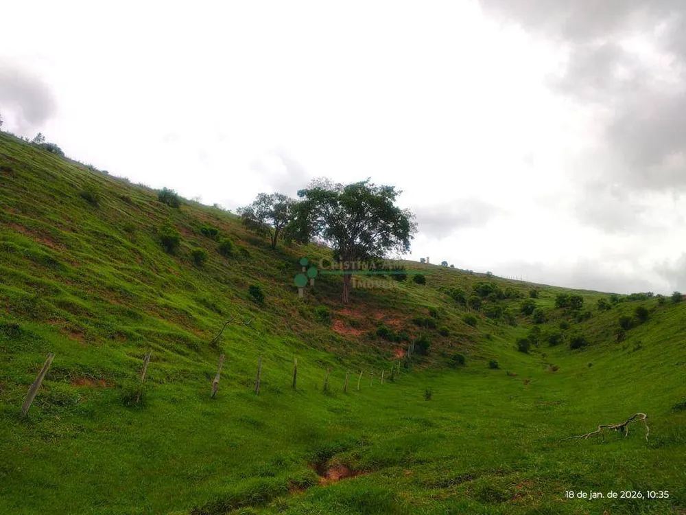 Terreno, 20 hectares - Foto 19