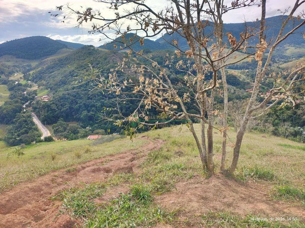 Terreno, 20 hectares - Foto 6