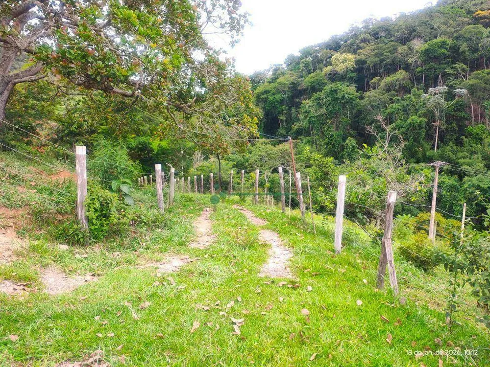 Terreno, 20 hectares - Foto 36