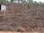 Terreno, 1350 m² - Foto 2