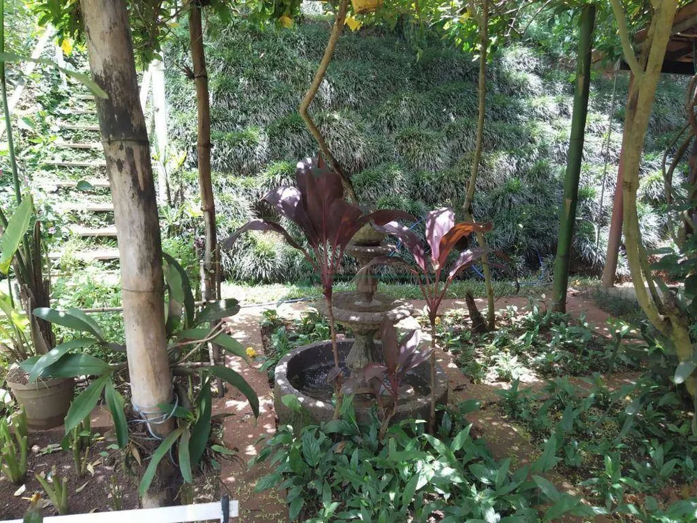 Chácara, 4 quartos, 10 hectares - Foto 23