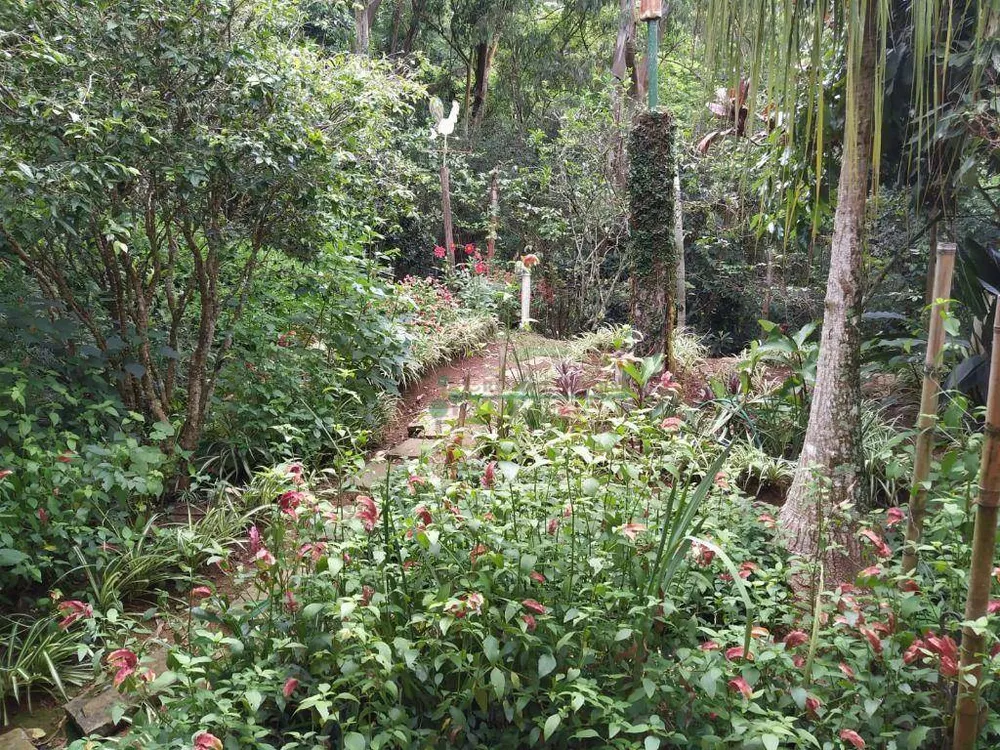 Chácara, 4 quartos, 10 hectares - Foto 28