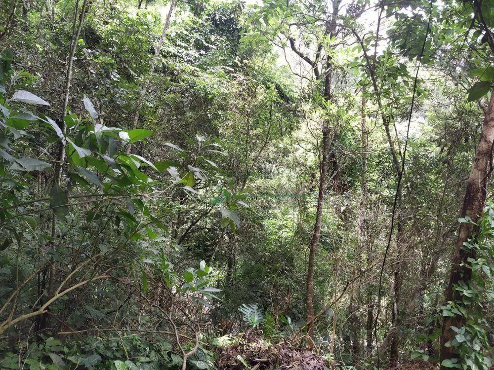 Chácara, 4 quartos, 10 hectares - Foto 12