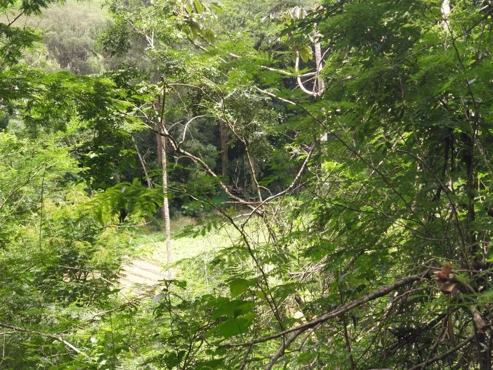 Chácara, 4 quartos, 10 hectares - Foto 9