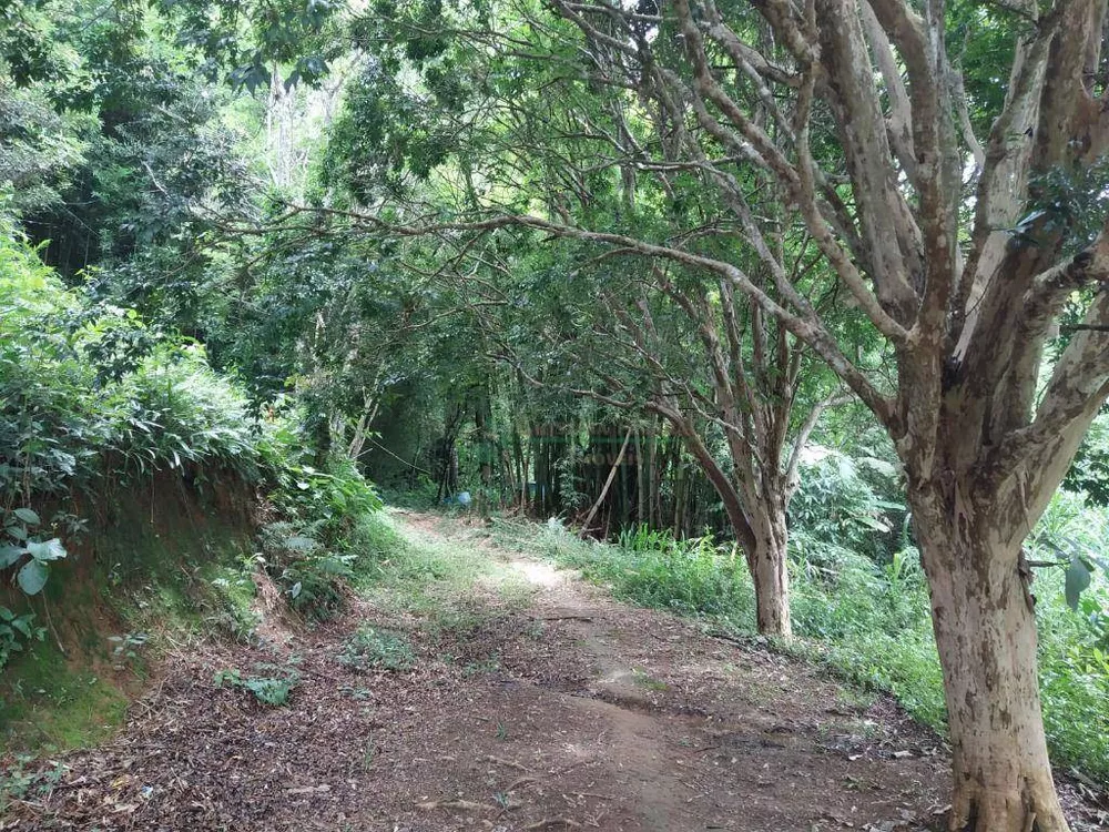 Chácara, 4 quartos, 10 hectares - Foto 8