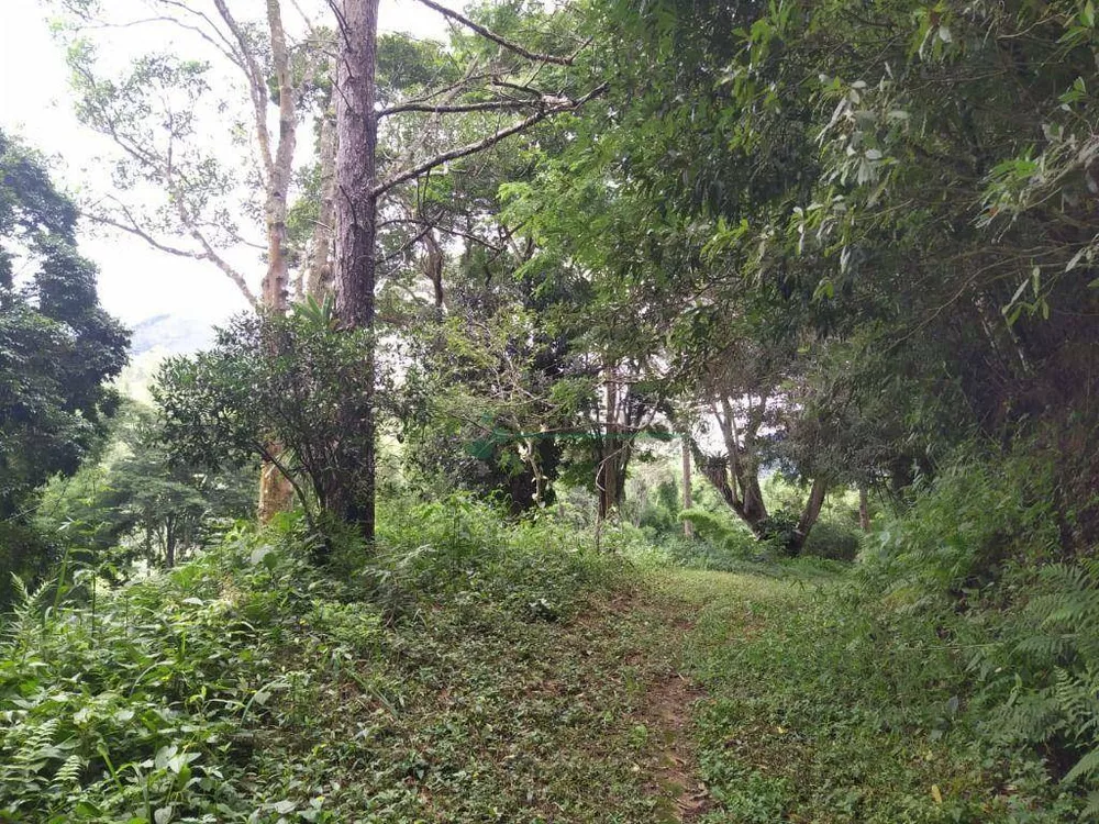 Chácara, 4 quartos, 10 hectares - Foto 3