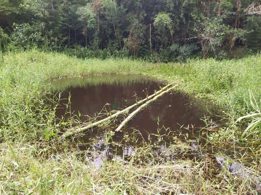 Chácara, 4 quartos, 10 hectares - Foto 7