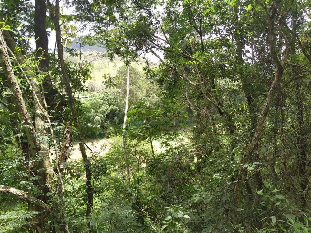 Chácara, 4 quartos, 10 hectares - Foto 6