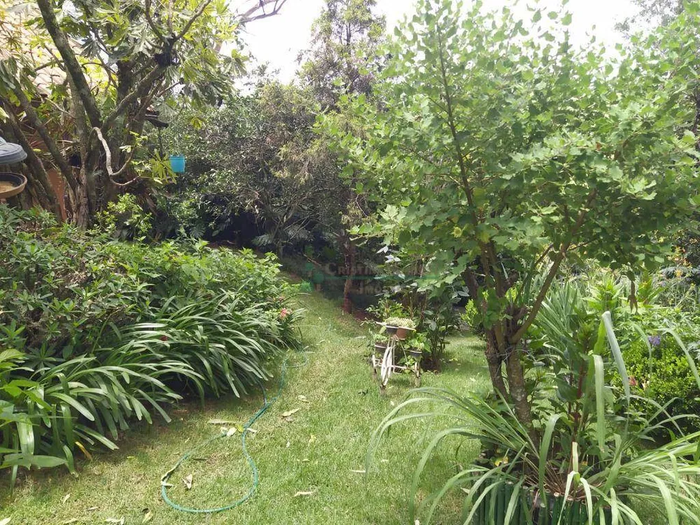 Chácara, 4 quartos, 10 hectares - Foto 19