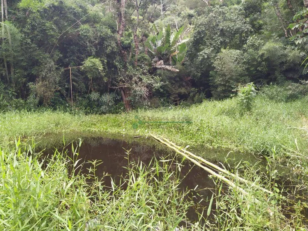 Chácara, 4 quartos, 10 hectares - Foto 2