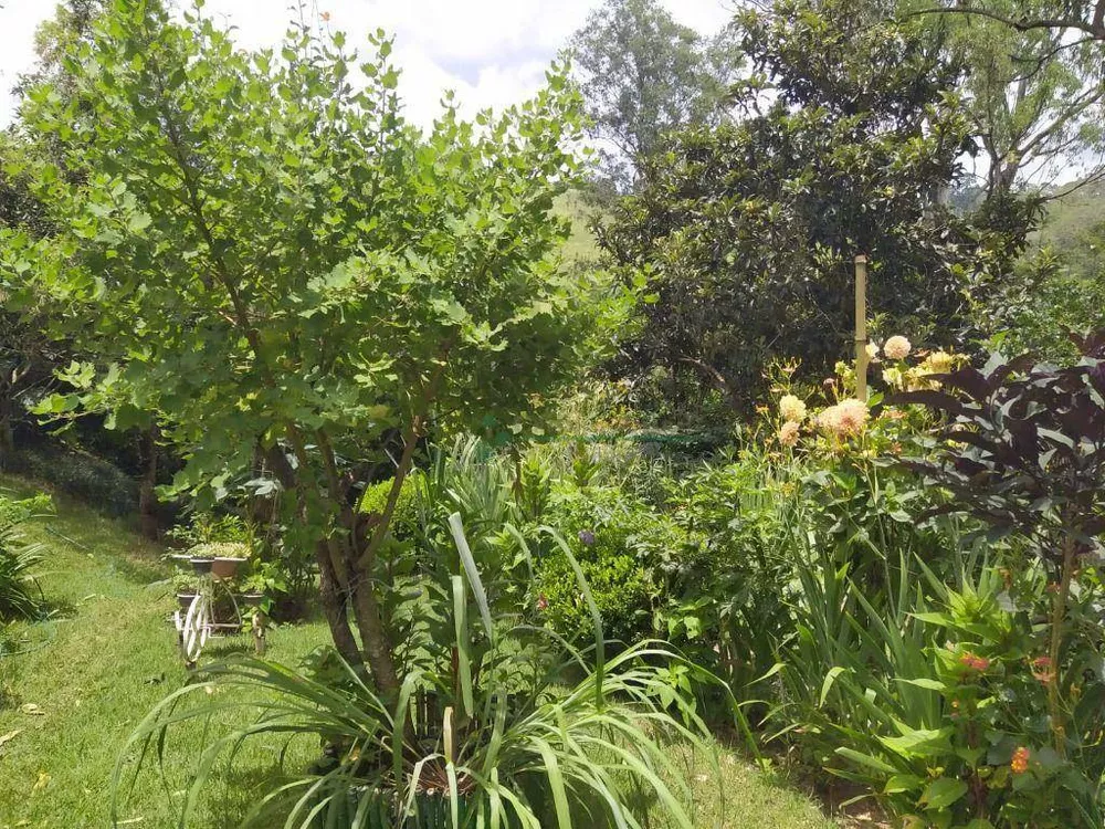 Chácara, 4 quartos, 10 hectares - Foto 20