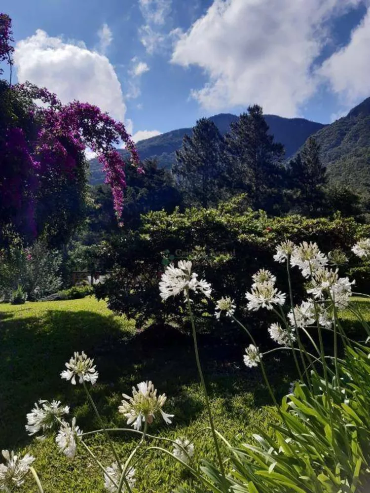 Sítio, 6 quartos, 45 hectares - Foto 40