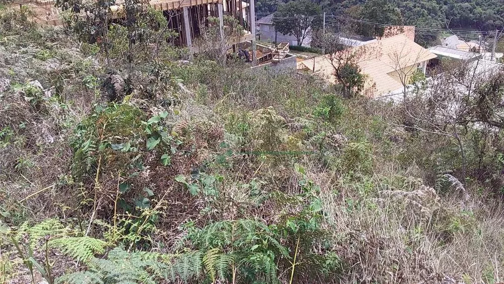 Loteamento e Condomínio, 325 m² - Foto 2