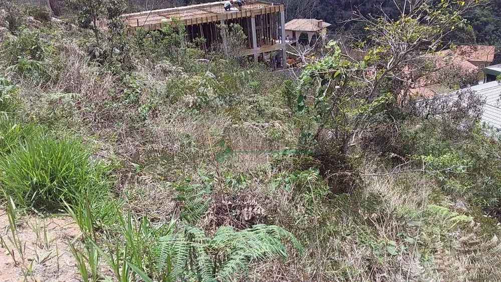 Loteamento e Condomínio, 325 m² - Foto 3