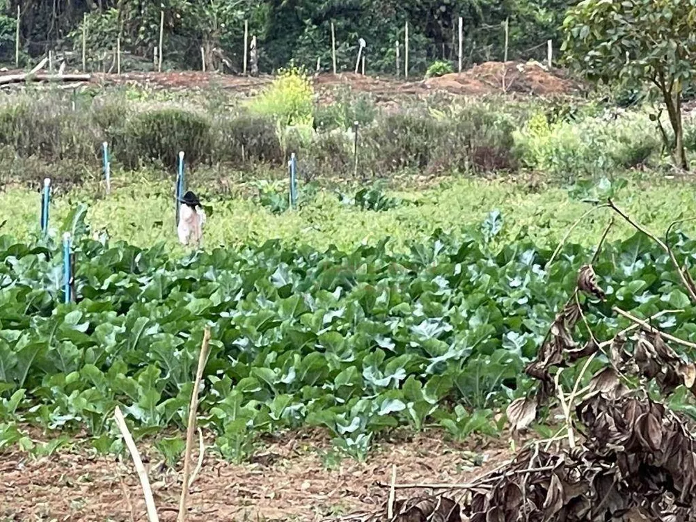 Loteamento e Condomínio à venda, 3107M2 - Foto 3