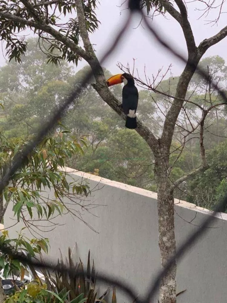 Casa de Condomínio, 6 quartos - Foto 14