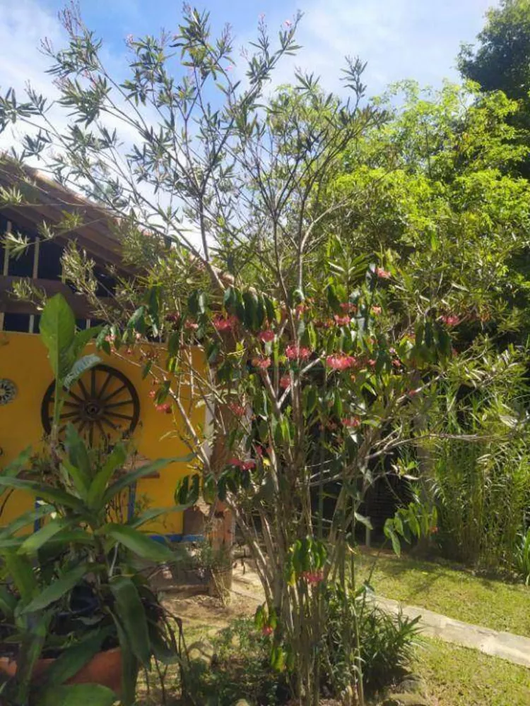 Sítio, 5 quartos, 5 hectares - Foto 32