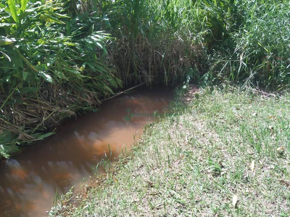 Sítio, 5 quartos, 5 hectares - Foto 34