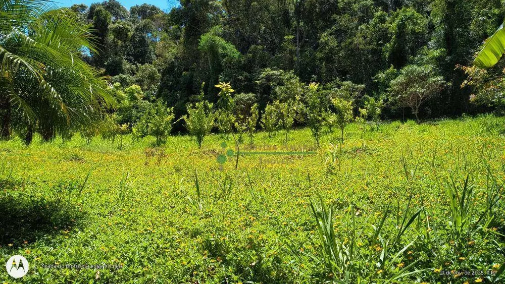 Sítio, 4 quartos, 12 hectares - Foto 18