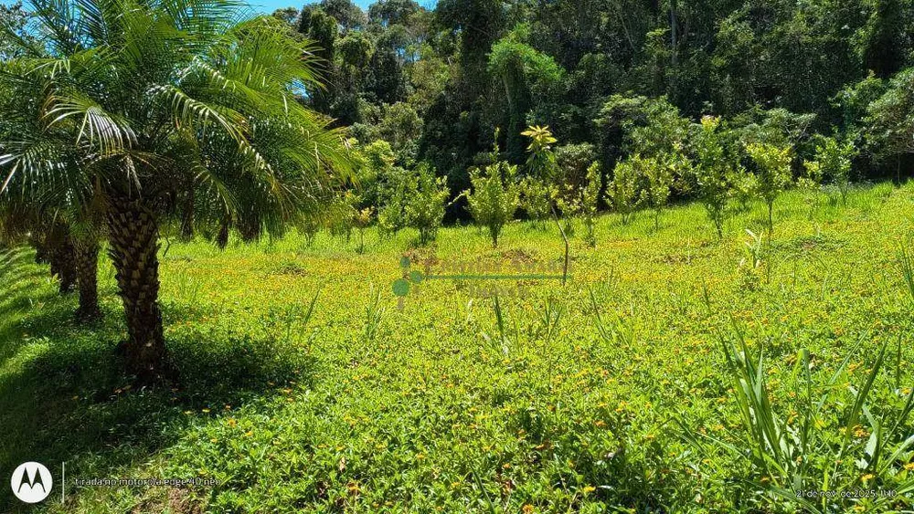 Sítio, 4 quartos, 12 hectares - Foto 21