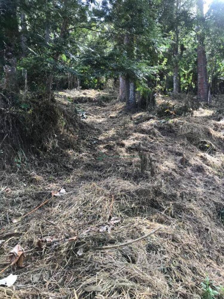 Loteamento e Condomínio à venda, 875M2 - Foto 7