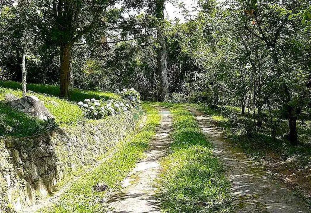 Sítio, 3 quartos, 1 hectares - Foto 10