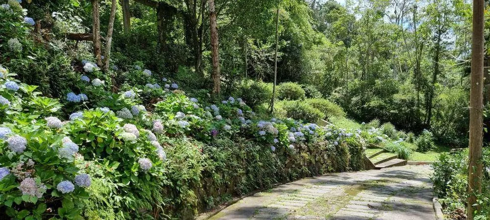 Terreno, 3 hectares - Foto 13