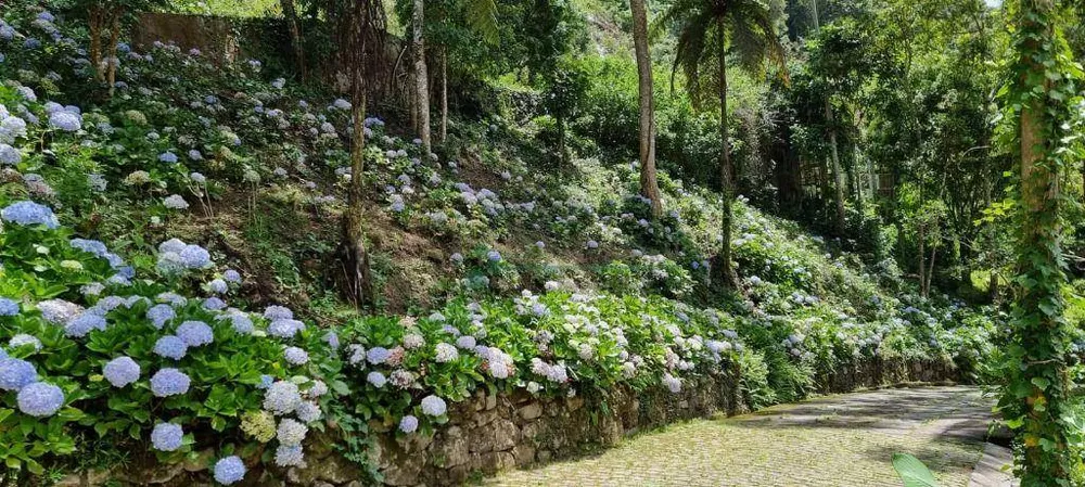 Terreno, 3 hectares - Foto 16