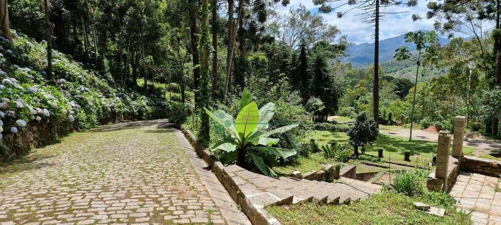 Terreno, 3 hectares - Foto 14