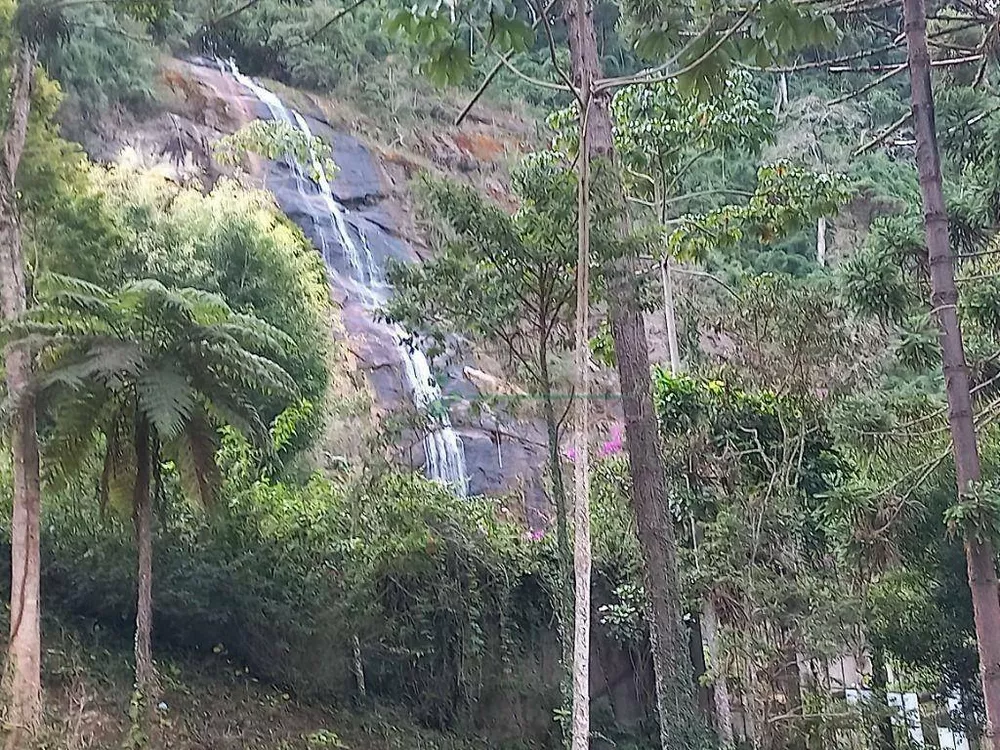 Terreno, 3 hectares - Foto 18