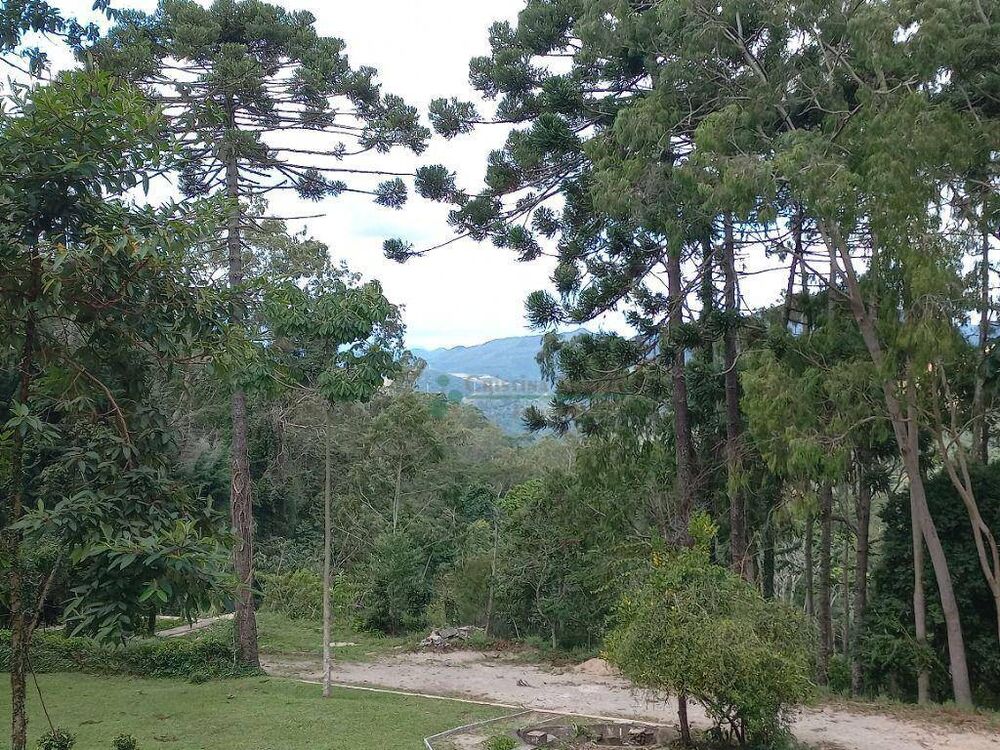 Terreno, 3 hectares - Foto 7