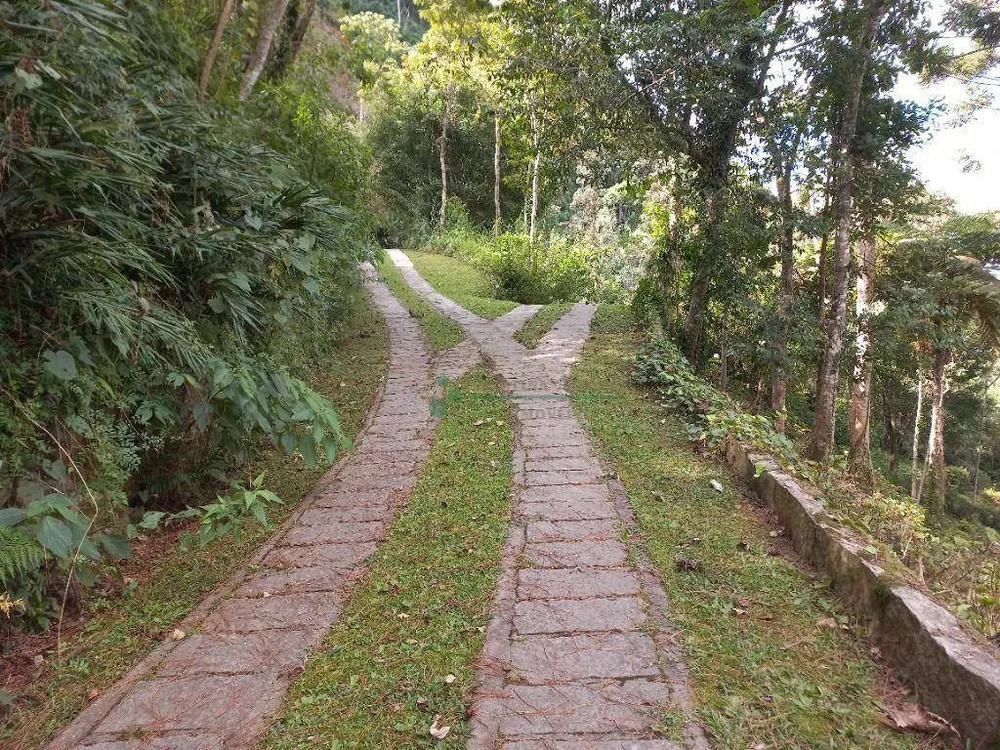 Terreno, 3 hectares - Foto 10