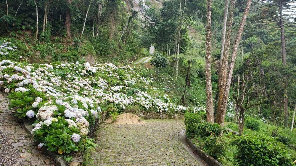 Terreno, 3 hectares - Foto 15