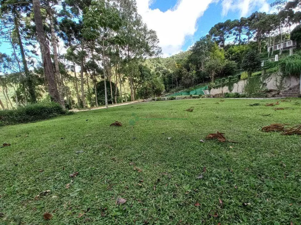 Terreno, 3 hectares - Foto 3