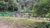 Terreno, 3 hectares - Foto 2