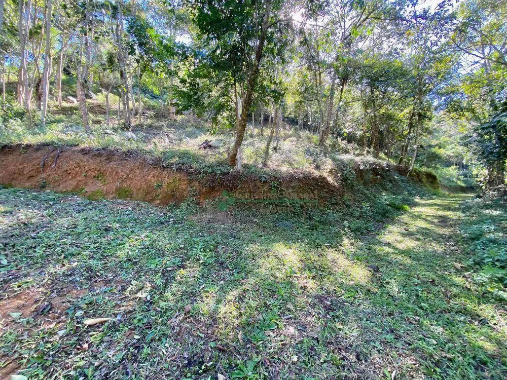 Chácara, 3 quartos, 2 hectares - Foto 48