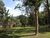 Sítio, 4 quartos, 11 hectares - Foto 4