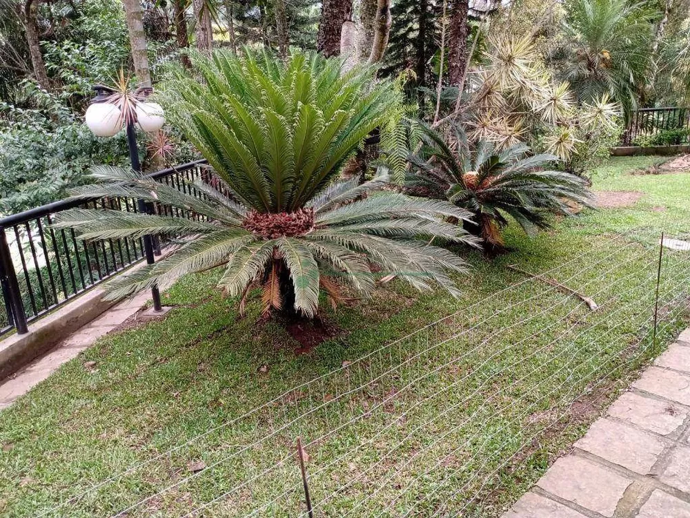 Casa, 3 quartos, 286 m² - Foto 20