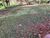 Loteamento e Condomínio, 100 m² - Foto 2