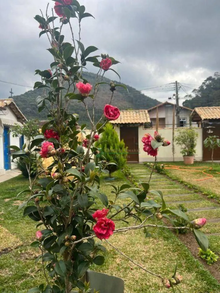 Casa, 4 quartos, 180 m² - Foto 25