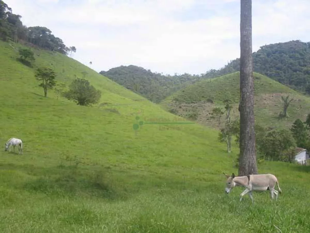 Terreno, 68 hectares - Foto 2